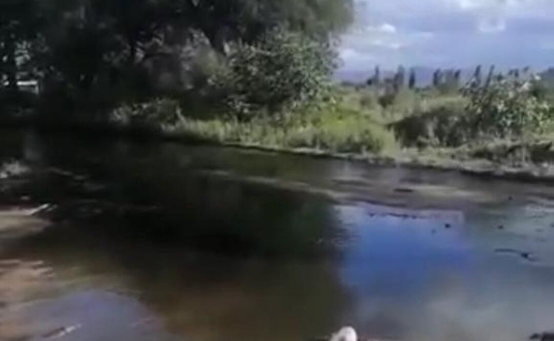 Foto Captura de video