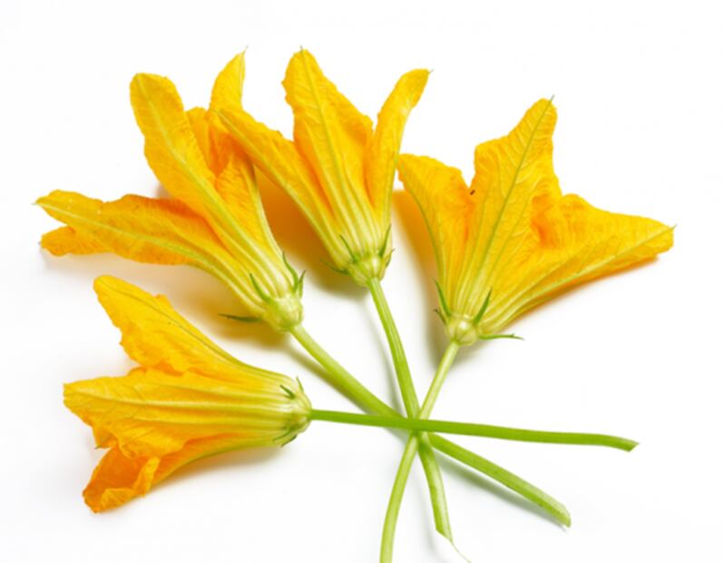 Estos ingredientes mexicanos son considerados como "alimentos del futuro"