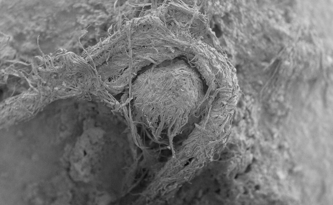 Foto: M-H. Moncel víoa AP