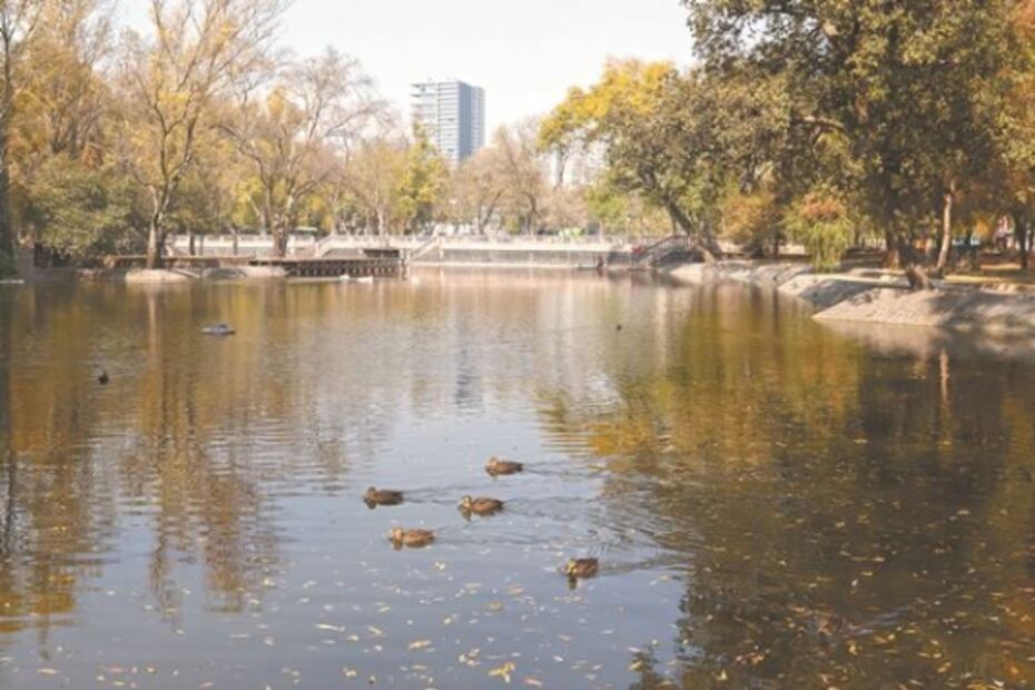 El reto de rehabilitar la naturaleza del Bosque de Chapultepec