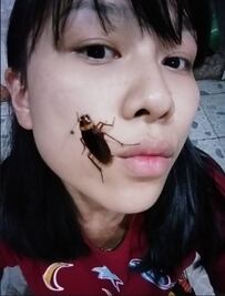 Cockroach Challenge, el reto de tomarte selfies con cucarachas