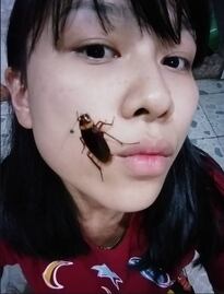 Cockroach Challenge, el reto de tomarte selfies con cucarachas