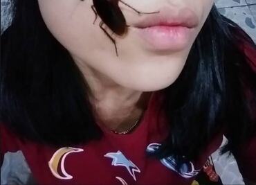 Cockroach Challenge, el reto de tomarte selfies con cucarachas