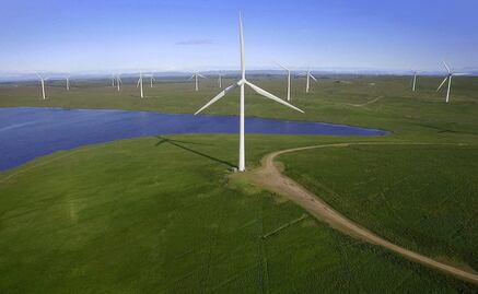 Gobiernos deben pensar en soluciones para crisis sanitaria, económica y ambiental: OCDE