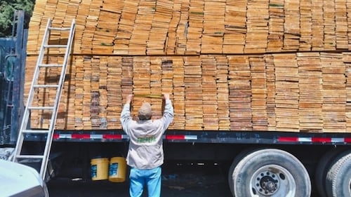 El producto forestal y el vehículo fueron asegurados por la Guardia Nacional. Foto: GN