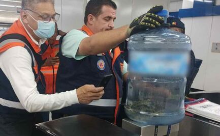 Usuarios del Metro encuentran culebra en la estación Revolución