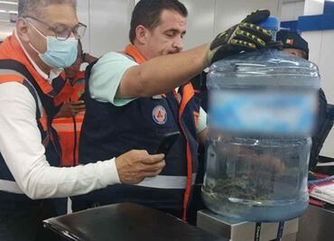 Usuarios del Metro encuentran culebra en la estación Revolución