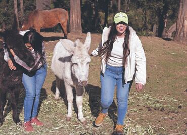 “Todos podemos ser héroes para los animales”; seres libres piden dejar de normalizar la violencia contra todas las especies