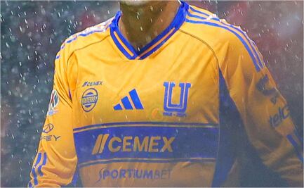 Tigres se despedirá de una de sus grandes estrellas; ya le buscan equipo para continuar su carrera