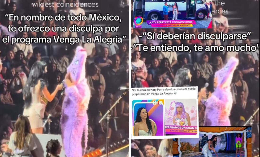 Un fan subió al escenario durante un concierto para pedir perdón a la cantante por la incómoda visita que tuvo en el programa matutino
Foto: Captura de pantalla en TikTok