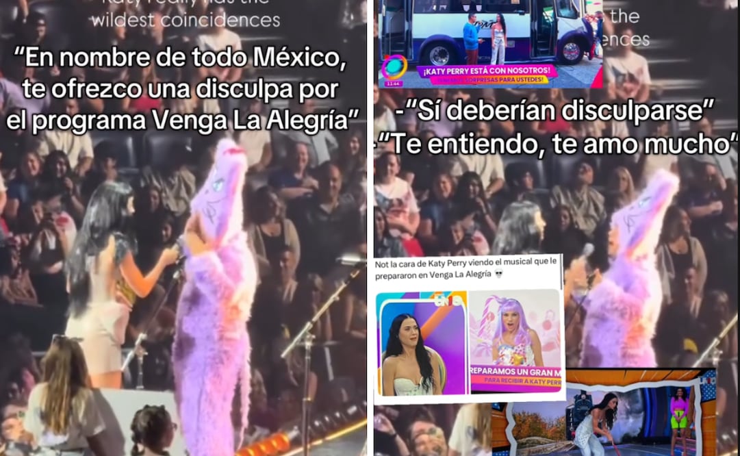 Un fan subió al escenario durante un concierto para pedir perdón a la cantante por la incómoda visita que tuvo en el programa matutino
Foto: Captura de pantalla en TikTok