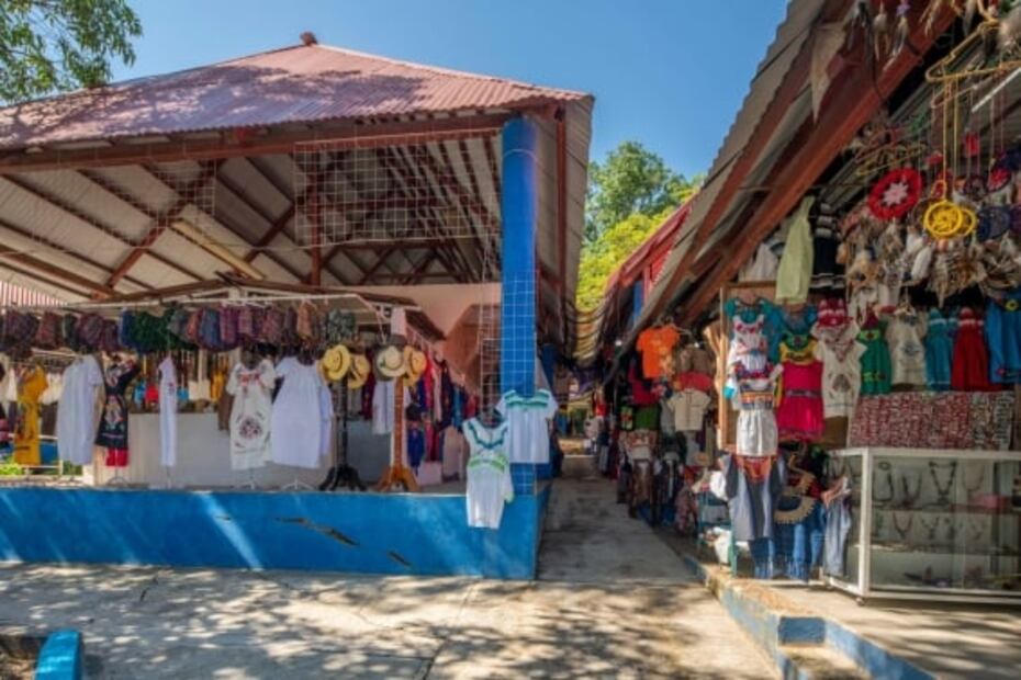 Tren Maya ¿Qué atractivos naturales podrán observar los pasajeros en el tramo 1?