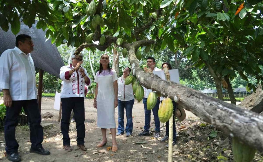 La presidenta de México, Claudia Sheinbaum, en Tabasco. Foto: Presidencia de México