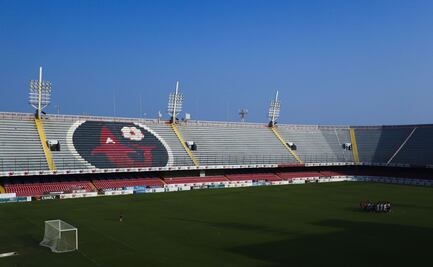 Detectan graves irregularidades y daños patrimonial en remodelación del estadio Luis "Pirata" Fuentes en Veracruz