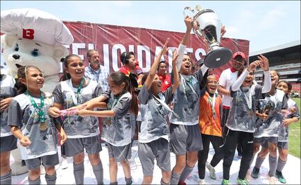 La Tarjeta Verde, el gran aporte del Futbolito Bimbo