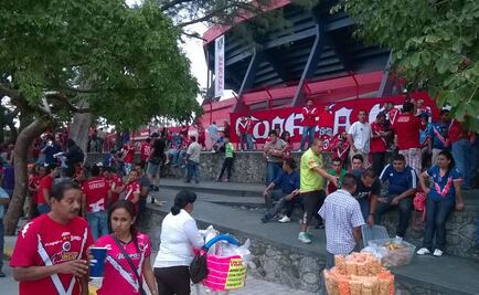 'Tiburomanía' en Veracruz