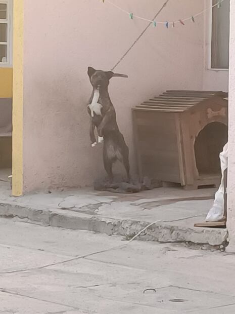 Foto: Twitter @Alina_Gag