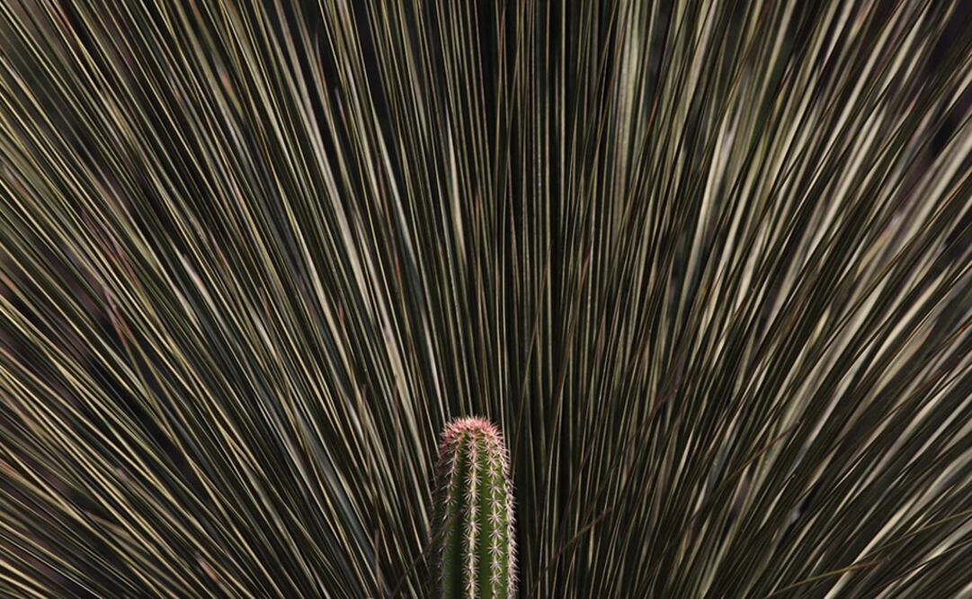 Foto: Archivo el Universal