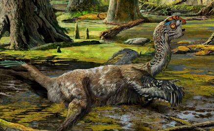 Encuentran una nueva especie de dinosaurio 