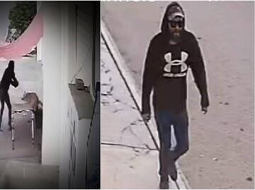 VIDEO: Sujeto dispara a lomito en Los Reyes de Juárez, Puebla