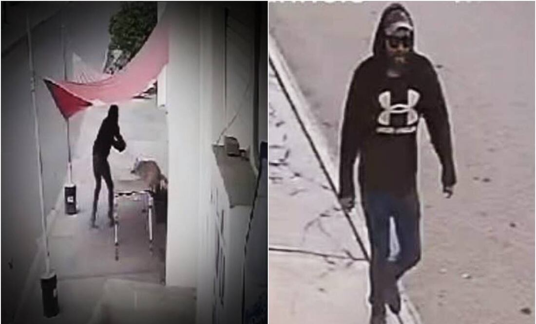 Hombre dispara contra lomito en Puebla. Foto: Especial.