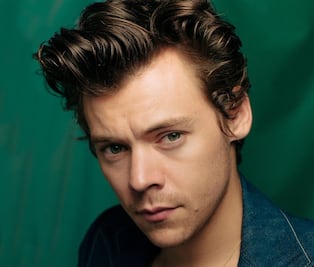 Harry Styles guarda su ropa en un congelador gigante