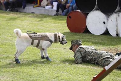 Niños disfrutan conocer a "Frida"