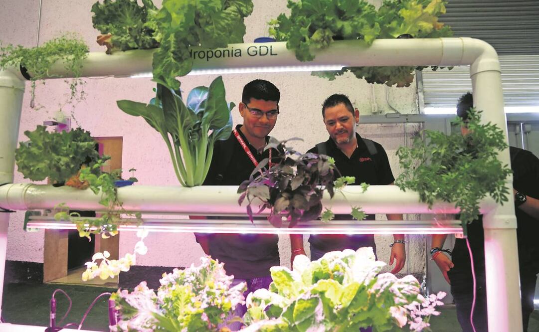 El sector financiero latinoamericano tiene capacidad, disposición y compromiso de aportar a la transición climática, asegura la Felaban. Foto: Archivo EL UNIVERSAL