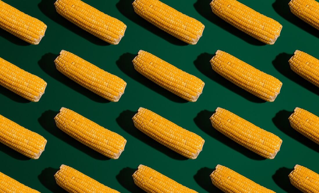 Foto: Estudio Bloom / Pexels