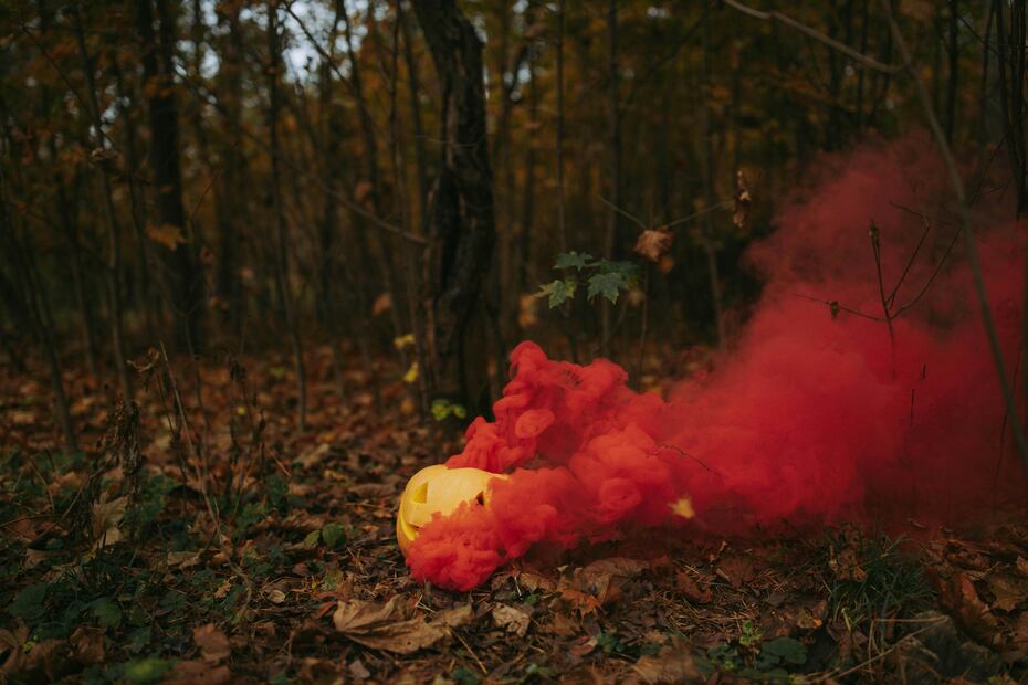 No te puedes perder de los festivales de calabaza alrededor de México lo que queda de octubre y noviembre

Imagen: Pexels