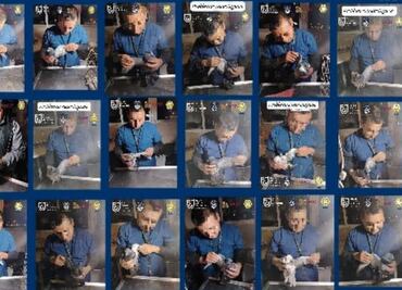 Mascotas rescatadas de albergue de la Narvarte están en resguardo de Fiscalía; animales tienen huellas de maltrato, dicen veterinarios