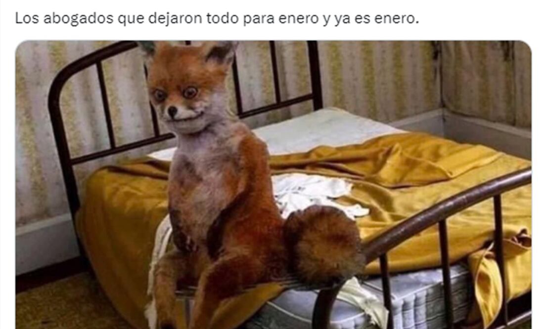 Enero llegó y los pendientes sólo se acumularon. Aquí los mejores memes. / Foto: Tomada de Twitter.