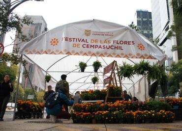 SEDEMA invita a comprar flores de cempasúchil en CDMX; ¡hay desde 15 pesos!