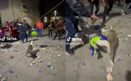 VIDEO: ¡Agárrenlo! Perrito roba piñata de posada y desata persecución 