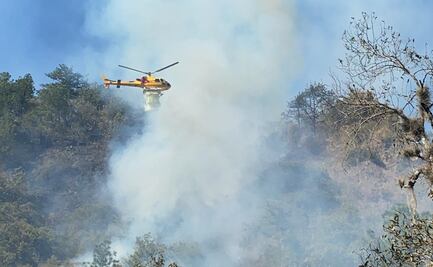 Combaten incendio forestal en la sierra de Santiago, Nuevo León