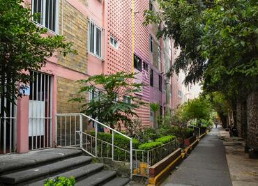 Refuerzan poda de árboles en alcaldía Benito Juárez; buscan prevenir riesgos y mejorar seguridad peatonal