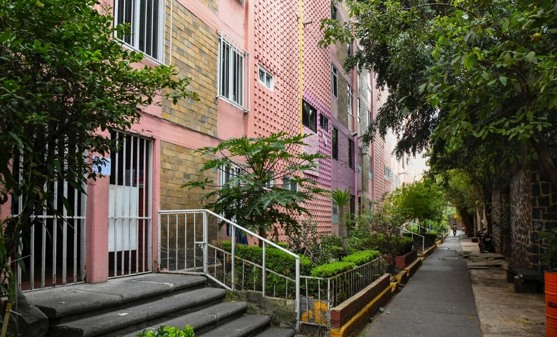 Refuerzan poda de árboles en alcaldía Benito Juárez; buscan prevenir riesgos y mejorar seguridad peatonal. Foto: Especial