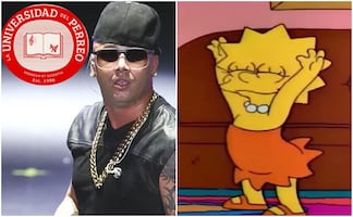 Anuncian creación de la Universidad del Perreo y desata la mejor lluvia de memes; usuarios no perdonan