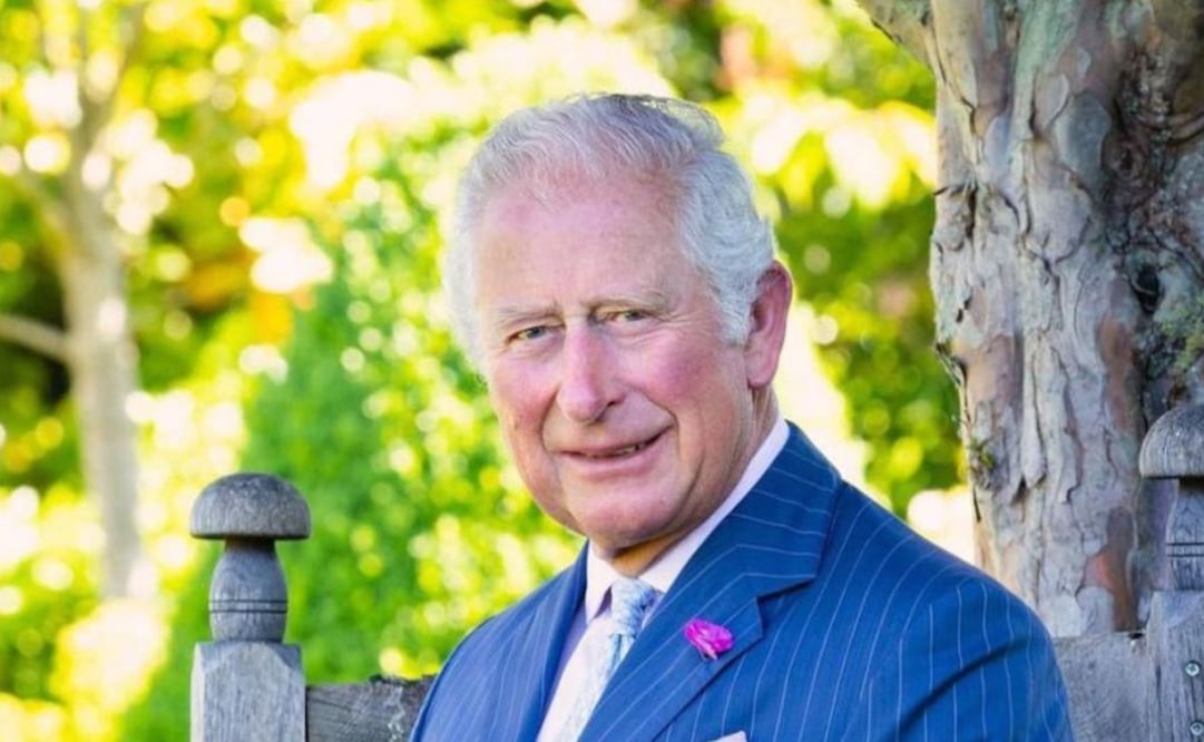 Rey Carlos III. Fuente: Instagram @arnoldo_mutis