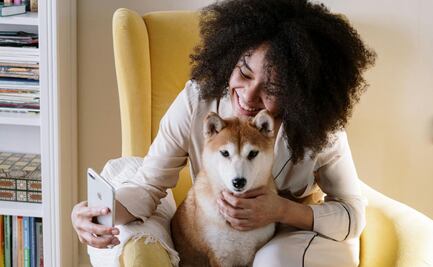 Conoce la app para el cuidado y atención de tu cachorro