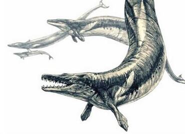 Basilosaurus, un depredador marino que devoraba ballenas