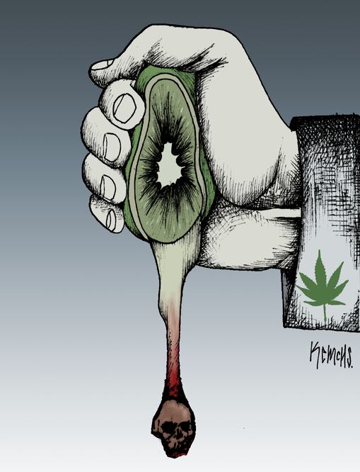Cartón de KEMCHS