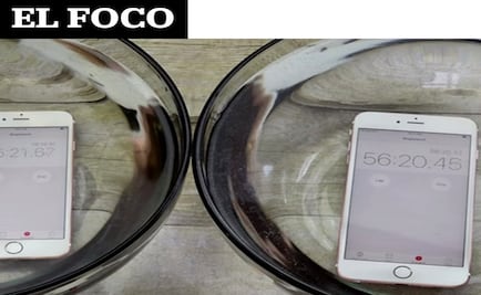 El Foco: El iPhone 6s ¡bajo el agua!