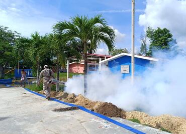 Quintana Roo avanza en la lucha contra el dengue; pasa del lugar 3 al 22 a nivel nacional