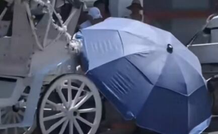 Caballo se desvanece en medio de la calle en Mérida; colapsó debido a las altas temperaturas