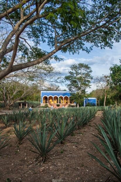 Sectur pospone Tianguis Turístico de México este año, pero habrá Tianguis 360