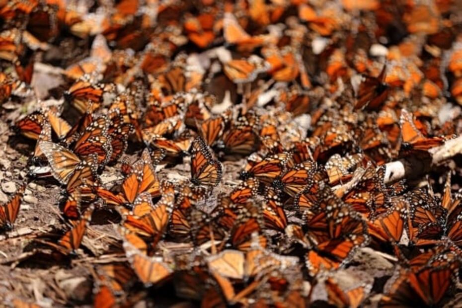 Escapadas por menos de 10 mil pesos en siete lugares de México