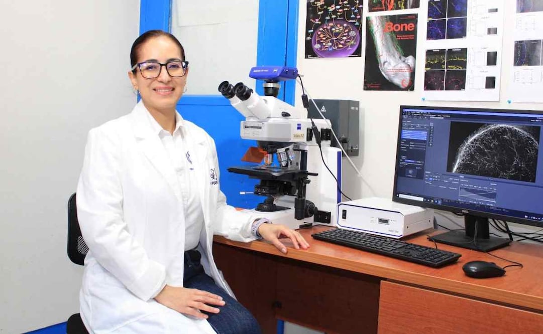 Docentes de la UAT se certifican por la Secretaría de Ciencia, Humanidades, Tecnología e Innovación (SECIHTI) / Foto: Especial