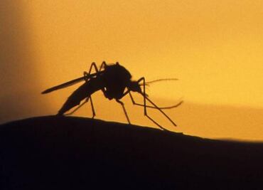 Fourth Zika case confirmed in Michoacán