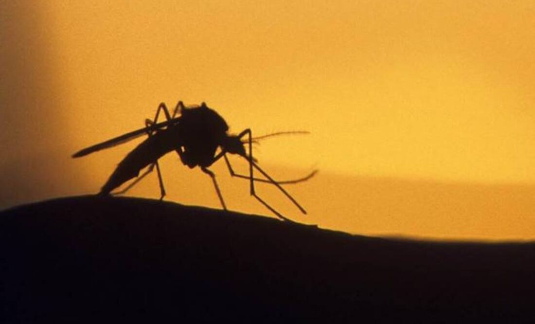 (Photo: Archive/El Universal)